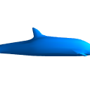 DolphinPose01